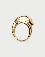 Dolphin Ring