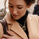 Omega Gold Necklace