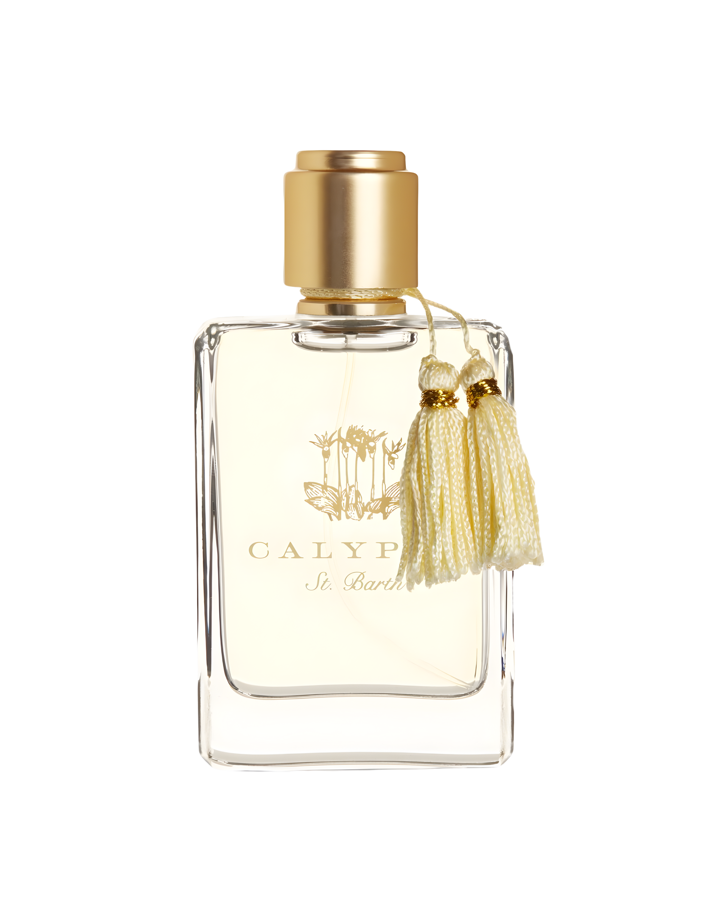 fragrance