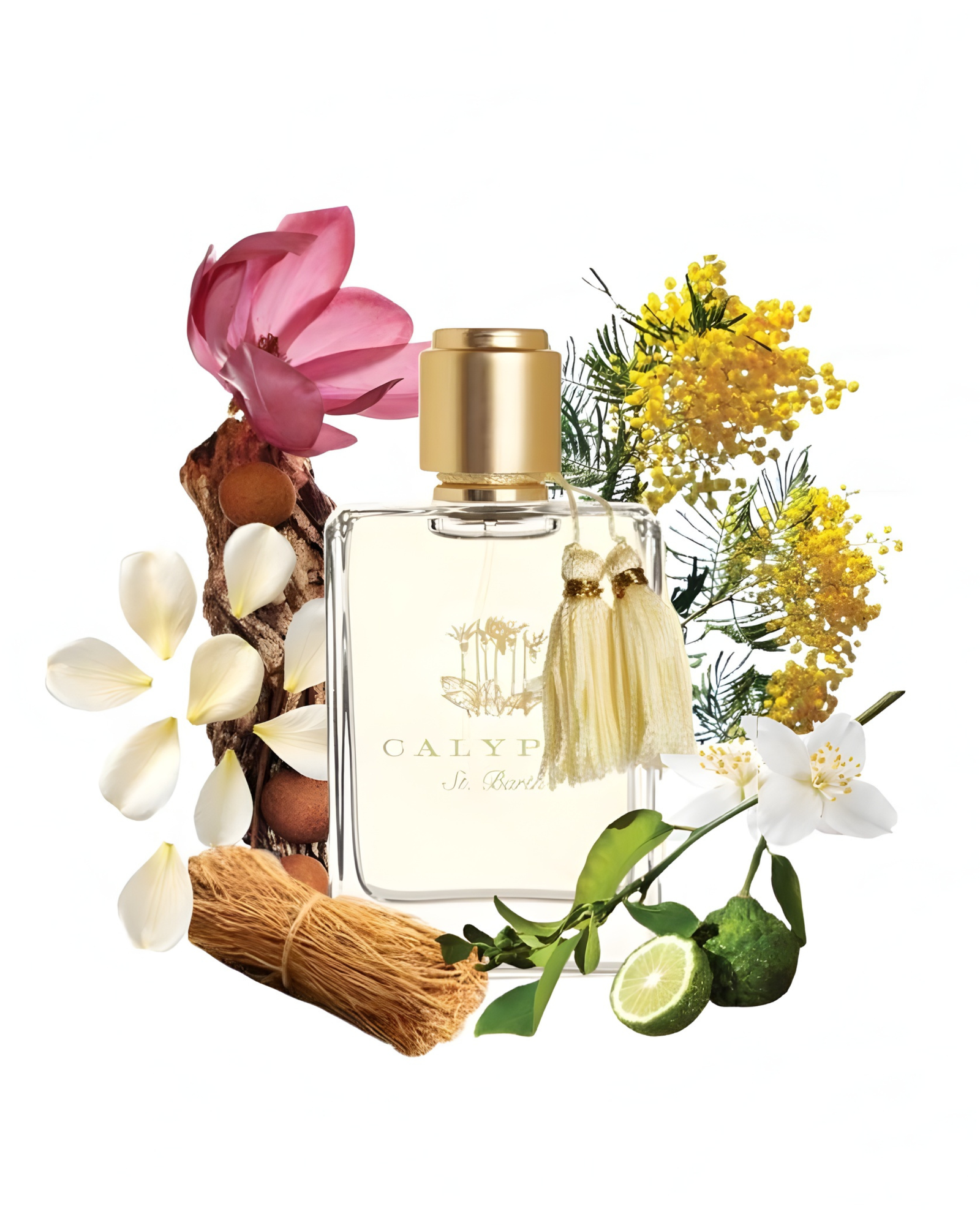 Mimosa Eau De Parfum – Calypso St Barth