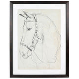 Horse in Bridle Sketch II