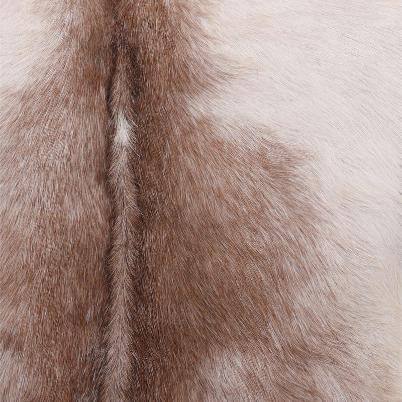 Bautista Occasional Chair