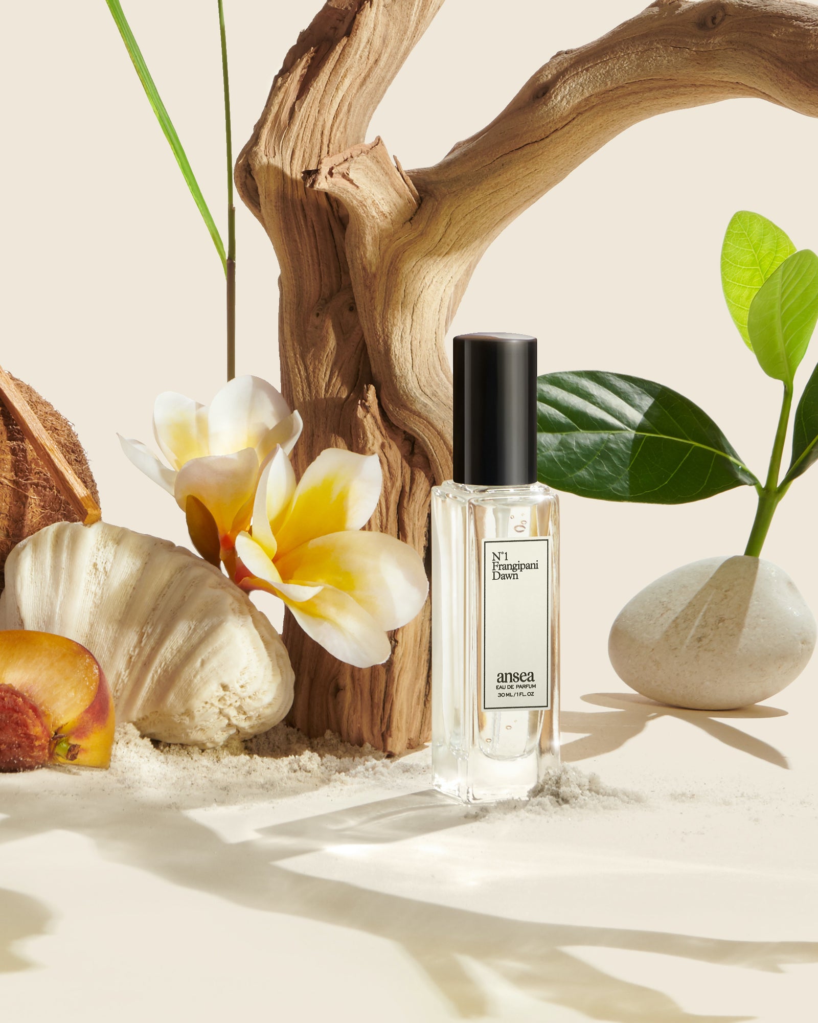 Frangipani Dawn Fragrance – Calypso St Barth